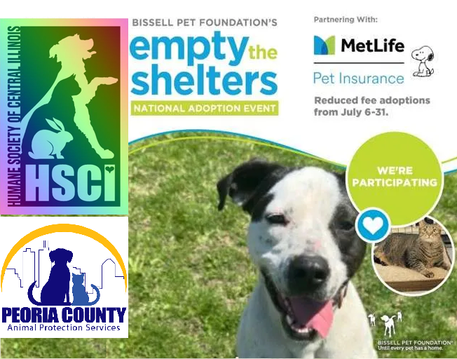 Save Animals and Money with the “Empty the Shelters” Event with HSCI and PCAPS