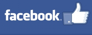 facebook-like-logo-e13493831434091